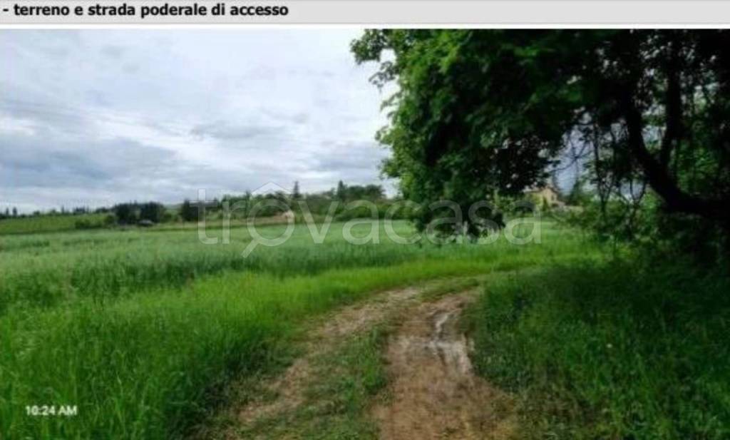 immagine annuncio 6 di 12