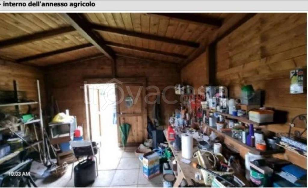 immagine annuncio 8 di 12