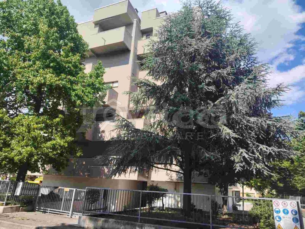 appartamento in vendita a Rovigo in zona Sarzano/Cantonazzo