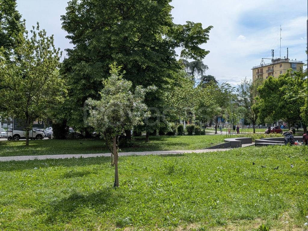 immagine annuncio 11 di 12