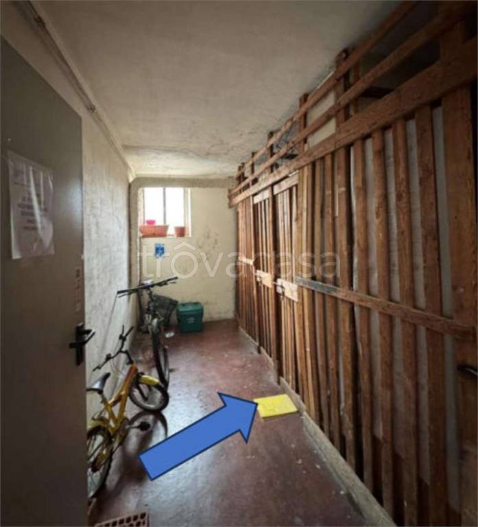 immagine annuncio 8 di 14