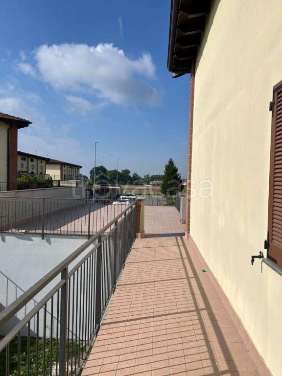 immagine annuncio 9 di 15