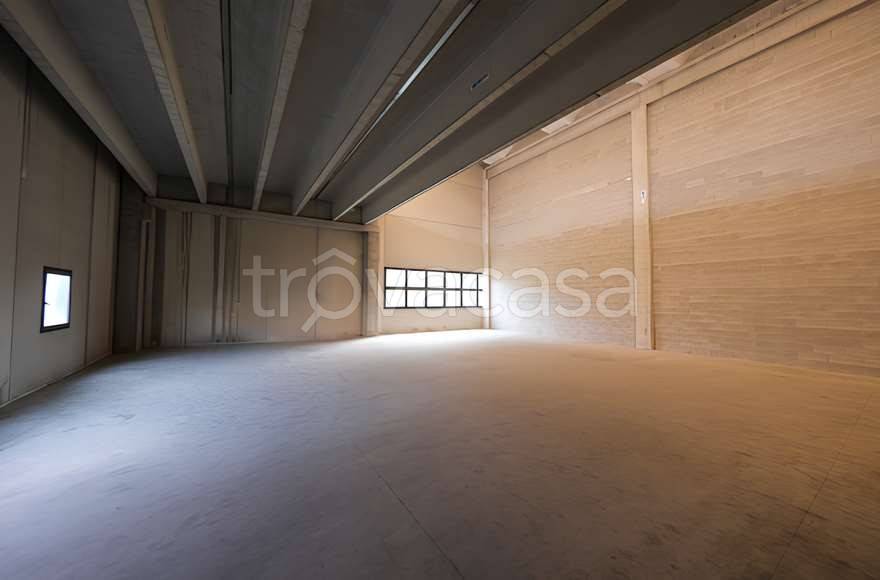immagine annuncio 4 di 6