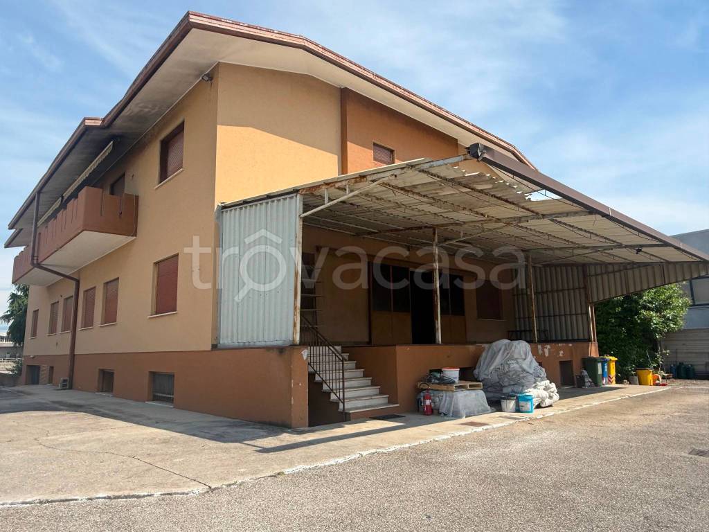 immagine annuncio 1 di 14