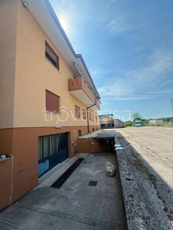 immagine annuncio 5 di 14