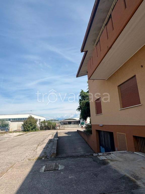 immagine annuncio 9 di 14