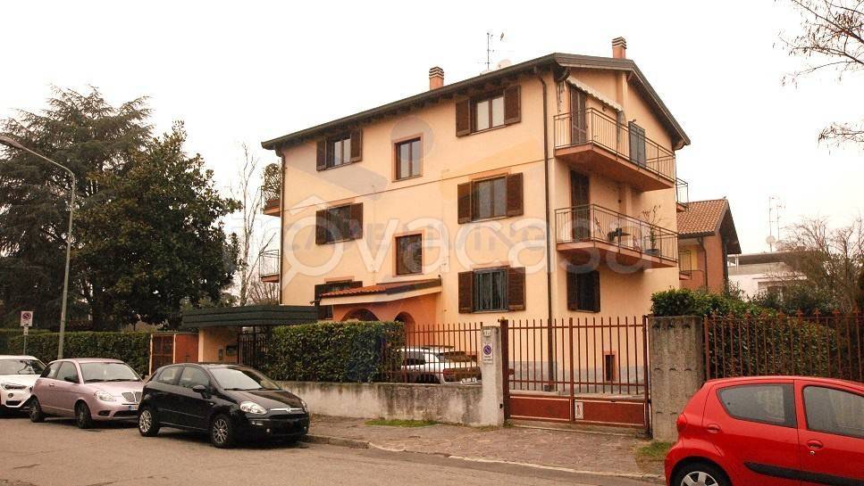 immagine annuncio 10 di 11