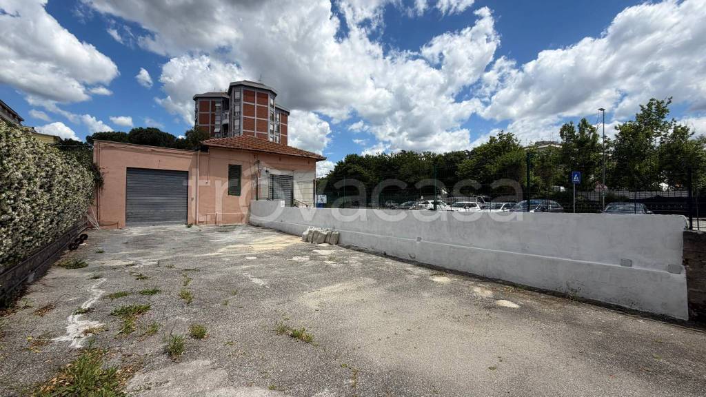 immagine annuncio 9 di 14