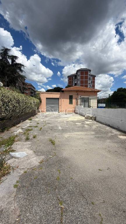 immagine annuncio 10 di 14