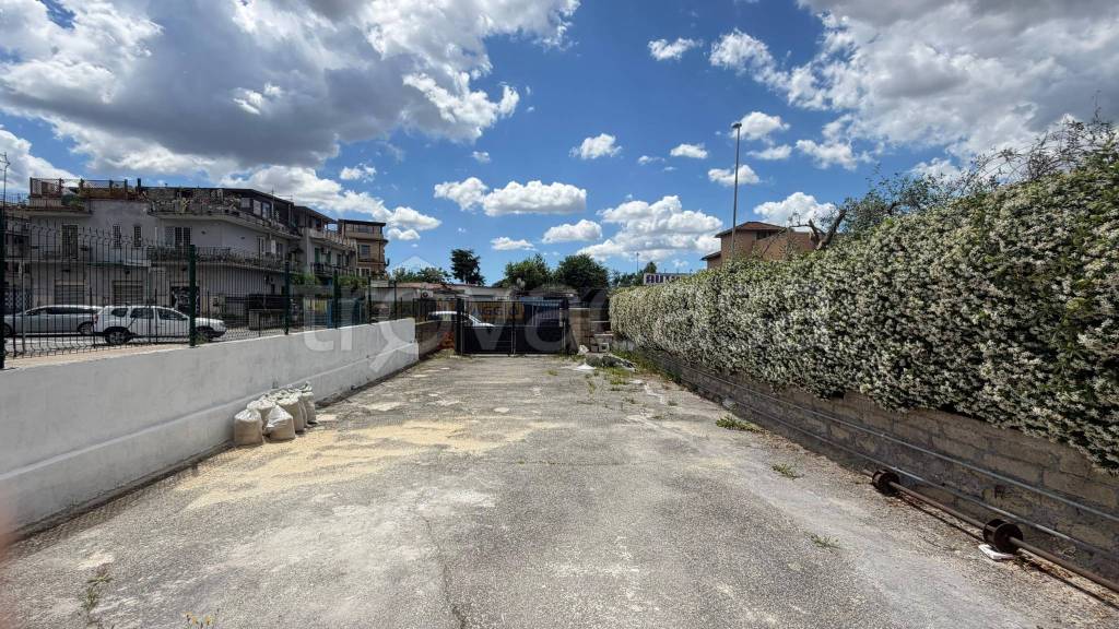immagine annuncio 12 di 14