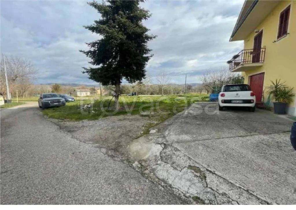 immagine annuncio 2 di 12