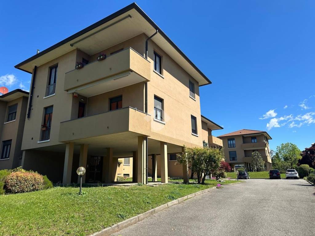 immagine annuncio 9 di 15