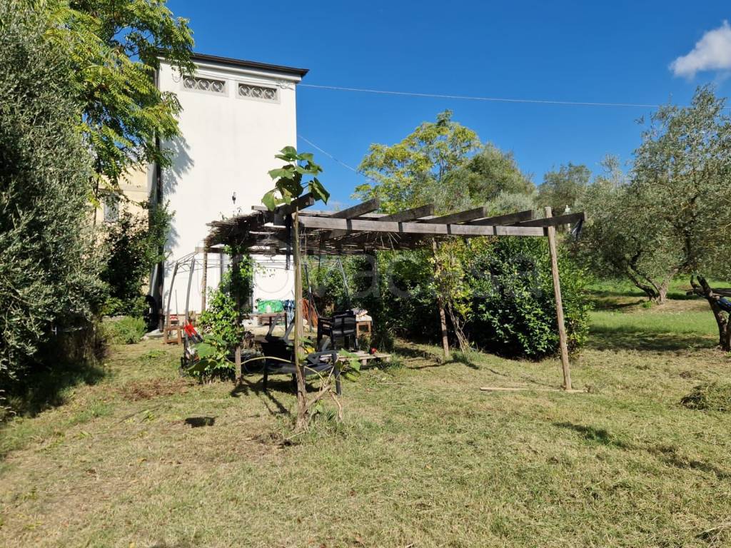 immagine annuncio 2 di 13