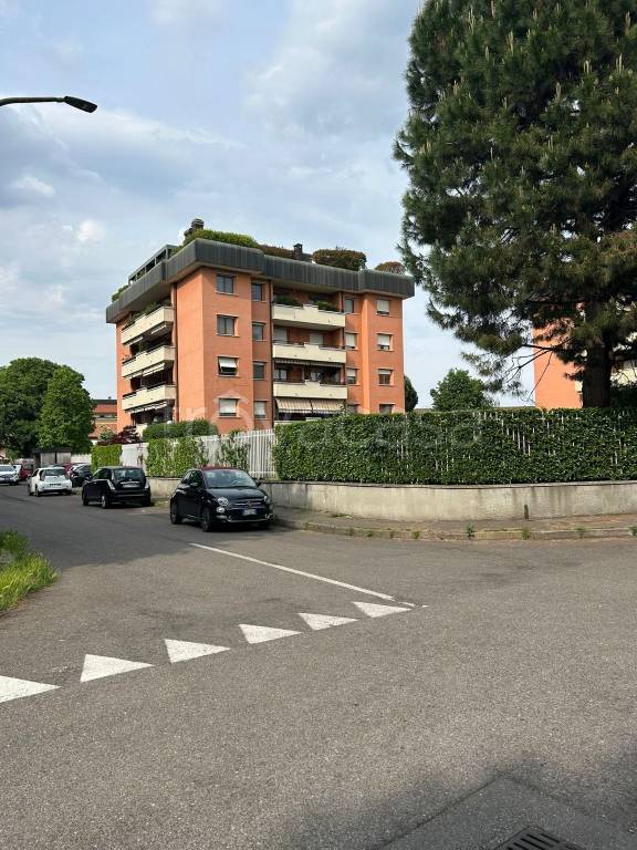 immagine annuncio 13 di 14