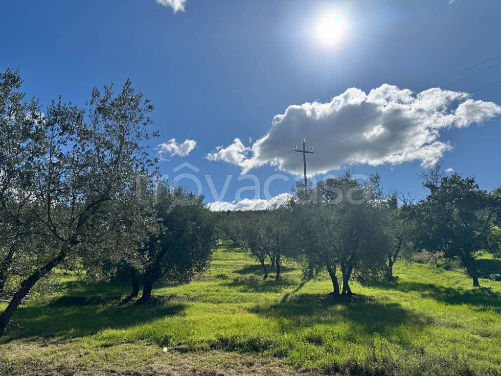 immagine annuncio 8 di 13