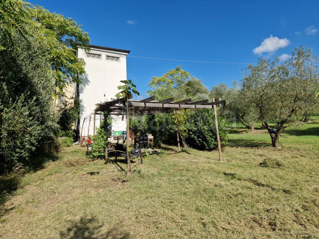 immagine annuncio 9 di 13