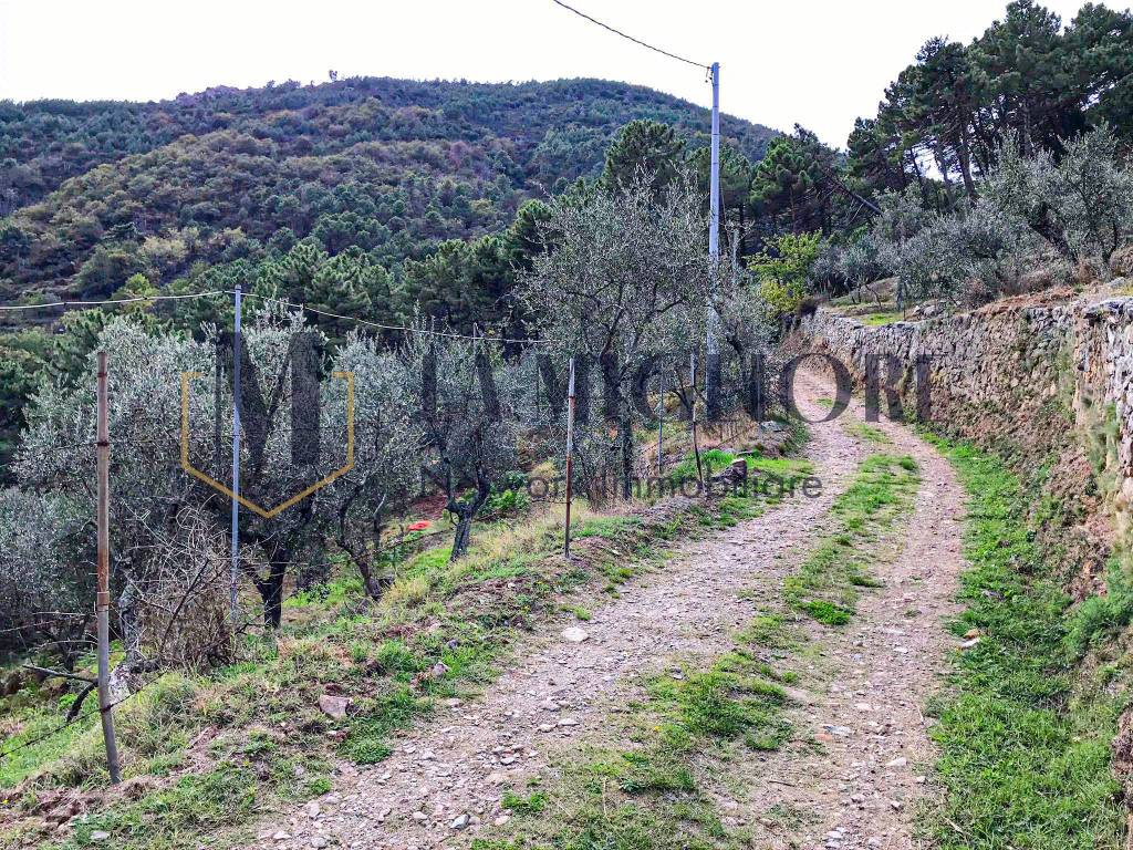 immagine annuncio 11 di 14
