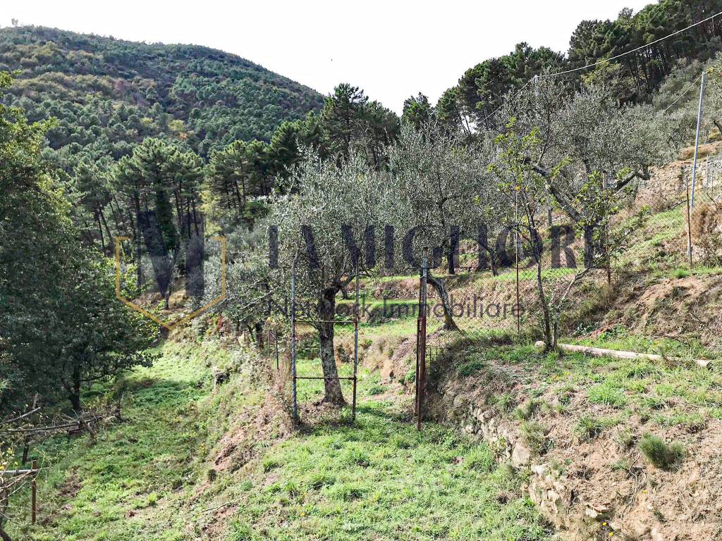 immagine annuncio 13 di 14
