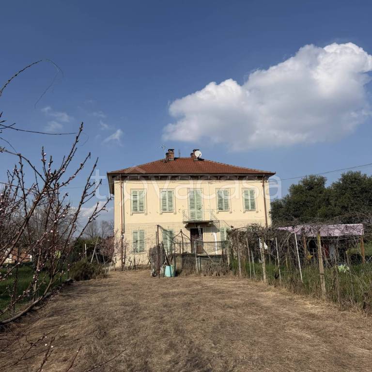 immagine annuncio 7 di 14