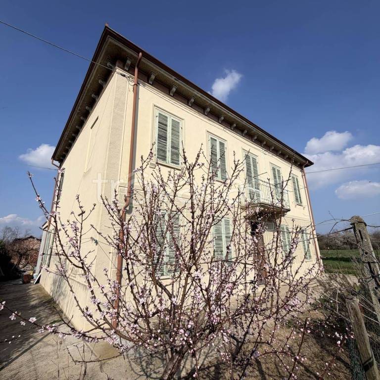 immagine annuncio 8 di 14