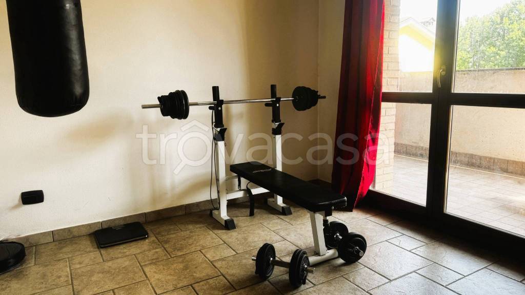 immagine annuncio 9 di 15
