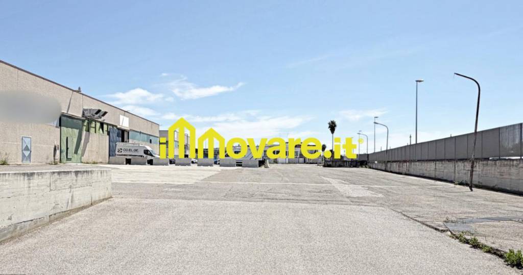 immagine annuncio 4 di 7