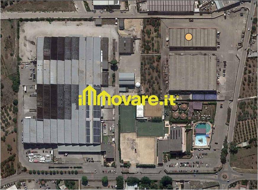 immagine annuncio 6 di 7