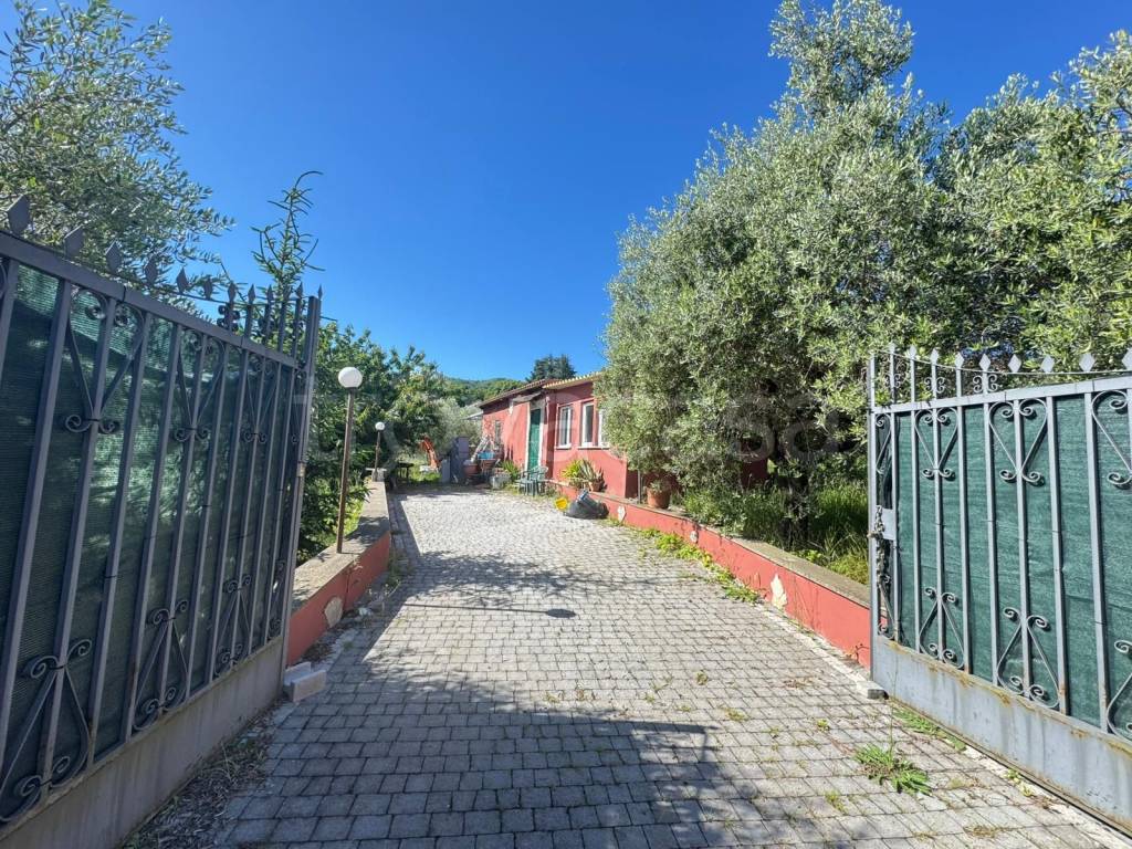 immagine annuncio 6 di 9
