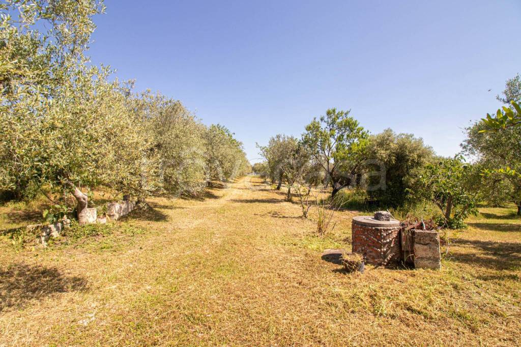 immagine annuncio 4 di 6