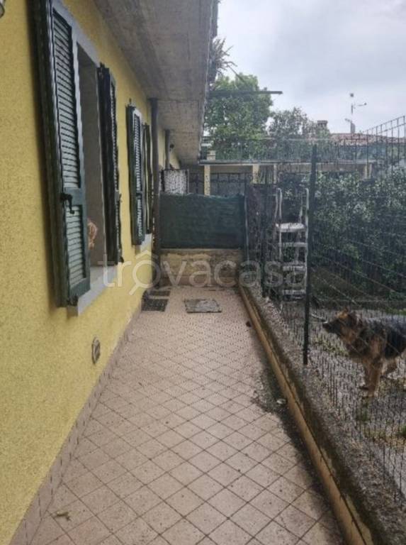 immagine annuncio 2 di 15