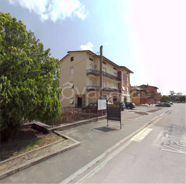 immagine annuncio 7 di 14