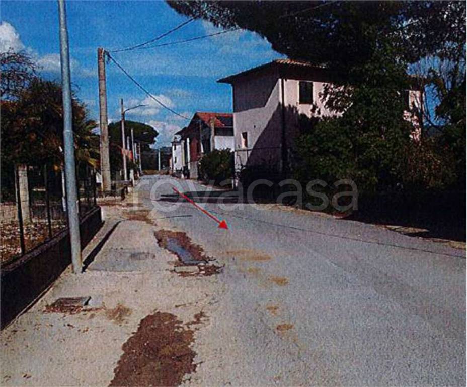 immagine annuncio 3 di 14
