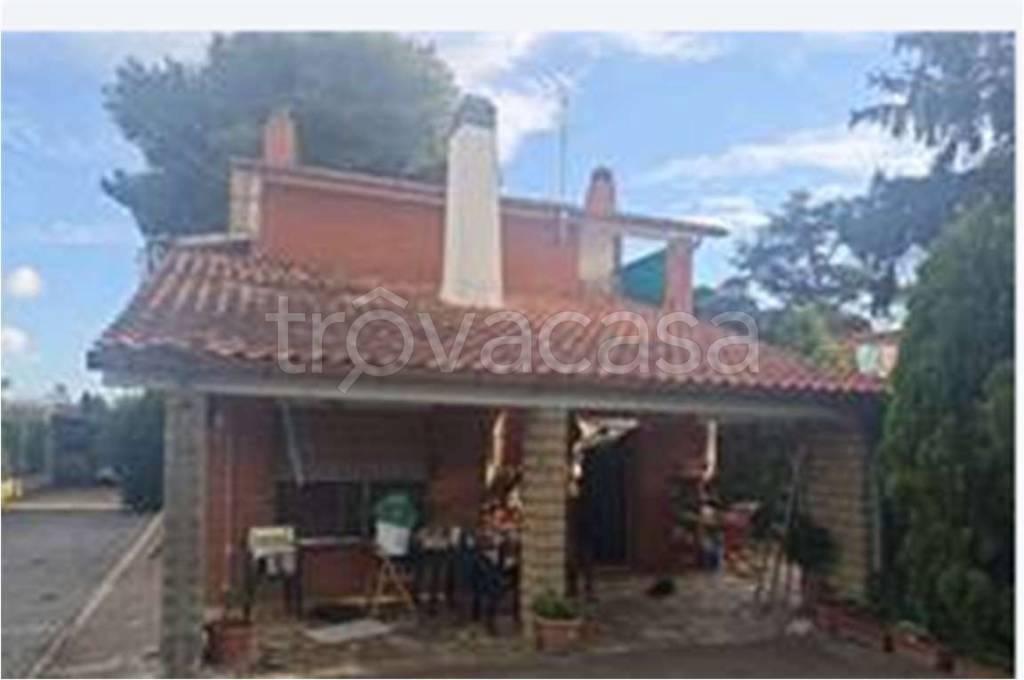 immagine annuncio 3 di 6