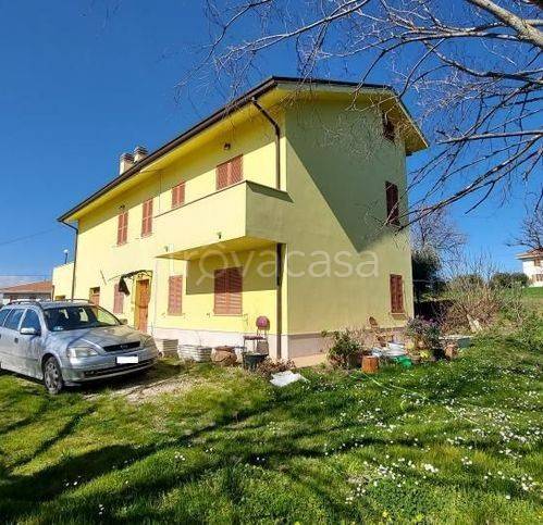 immagine annuncio 6 di 9