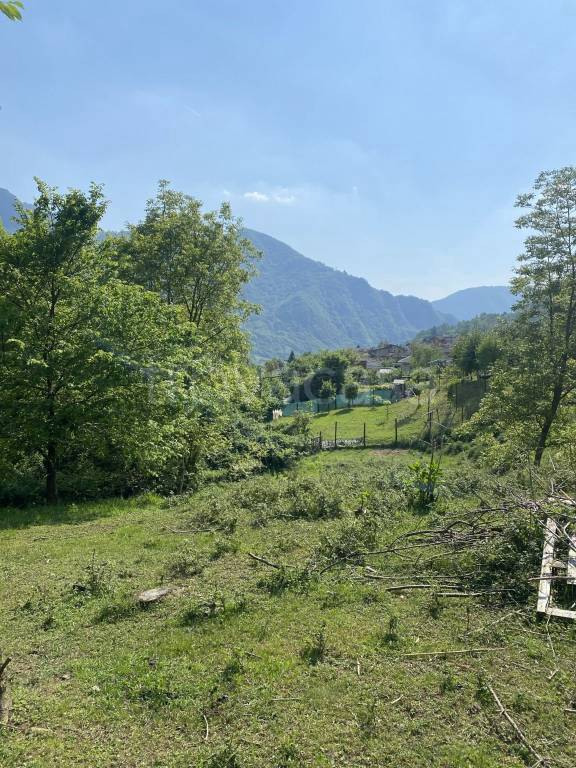 immagine annuncio 3 di 6