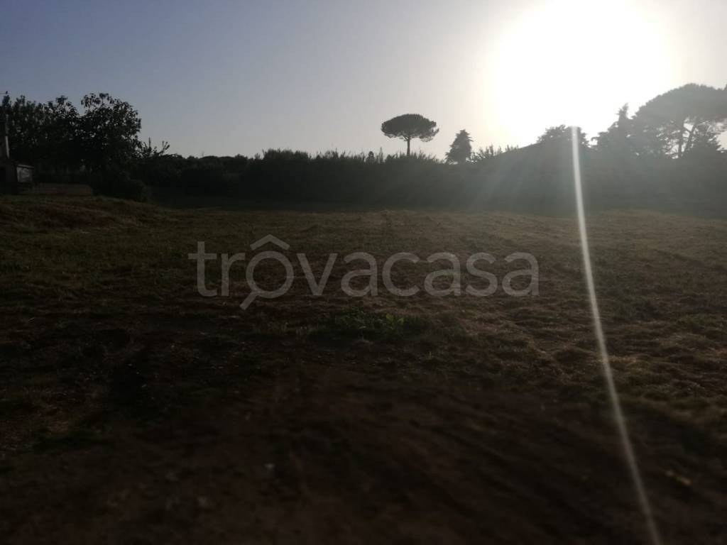 immagine annuncio 4 di 6
