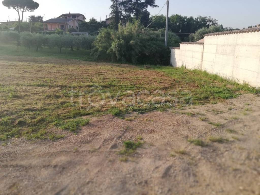 immagine annuncio 5 di 6