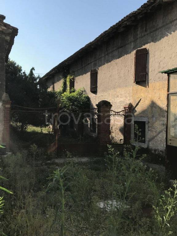 immagine annuncio 11 di 14
