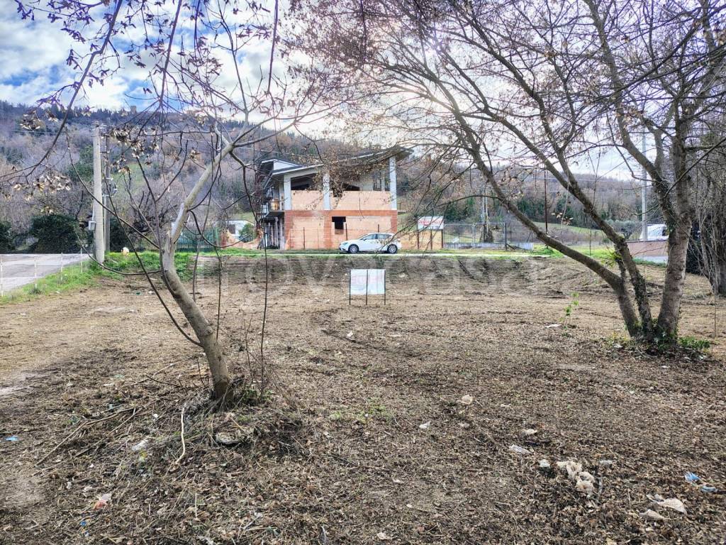 immagine annuncio 5 di 14