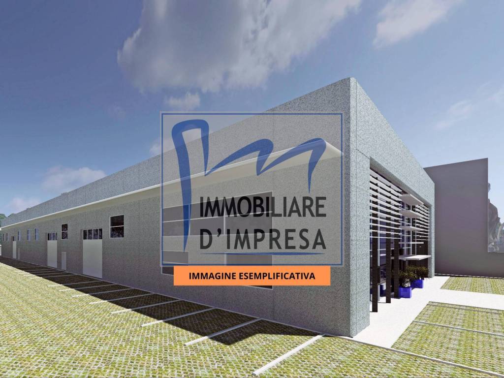 immagine annuncio 1 di 10
