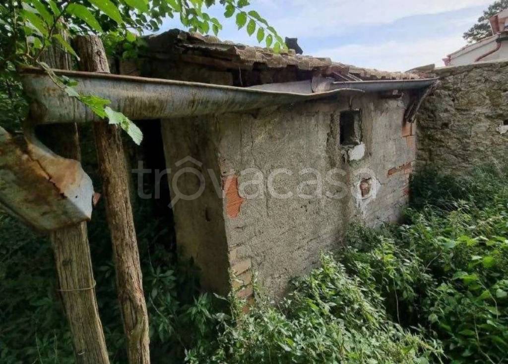 immagine annuncio 3 di 7