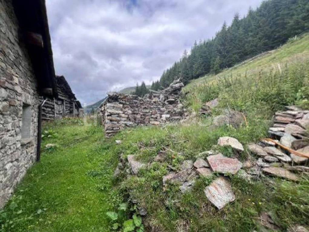 immagine annuncio 4 di 13