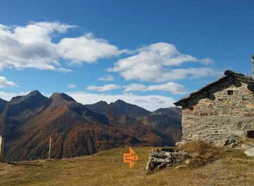 immagine annuncio 10 di 13