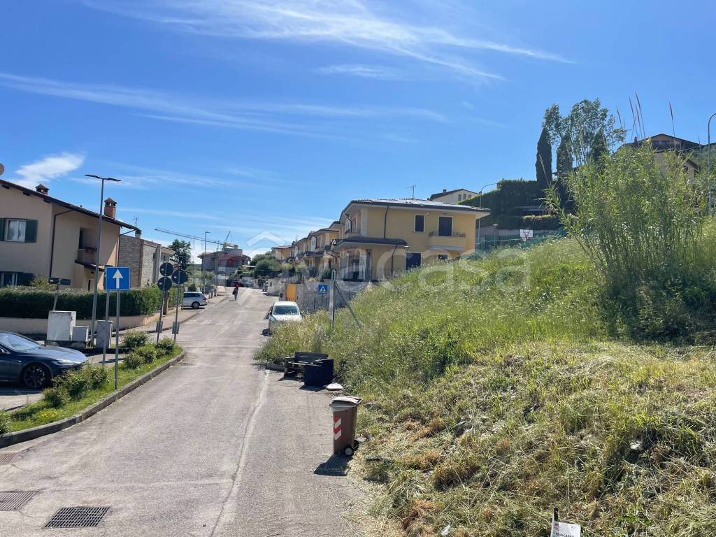 immagine annuncio 1 di 14