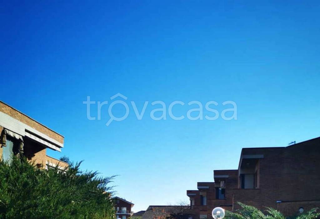 immagine annuncio 5 di 14