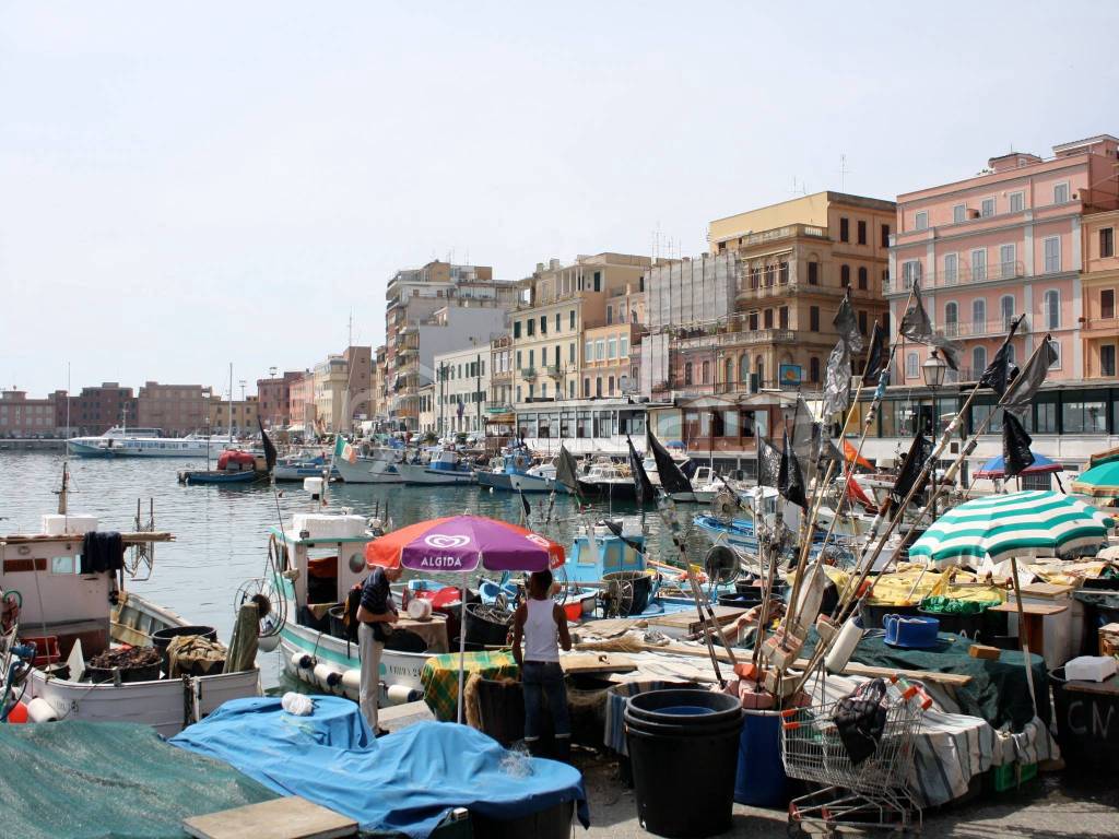 immagine annuncio 13 di 14