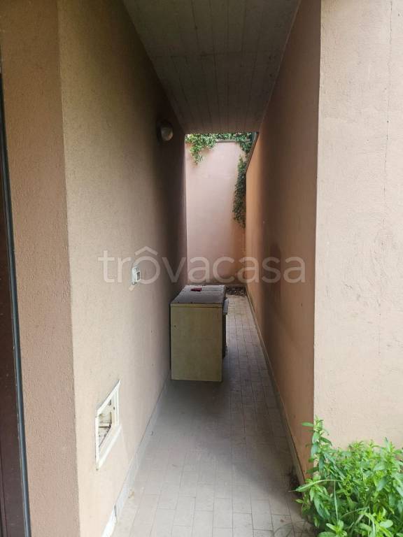 immagine annuncio 2 di 13