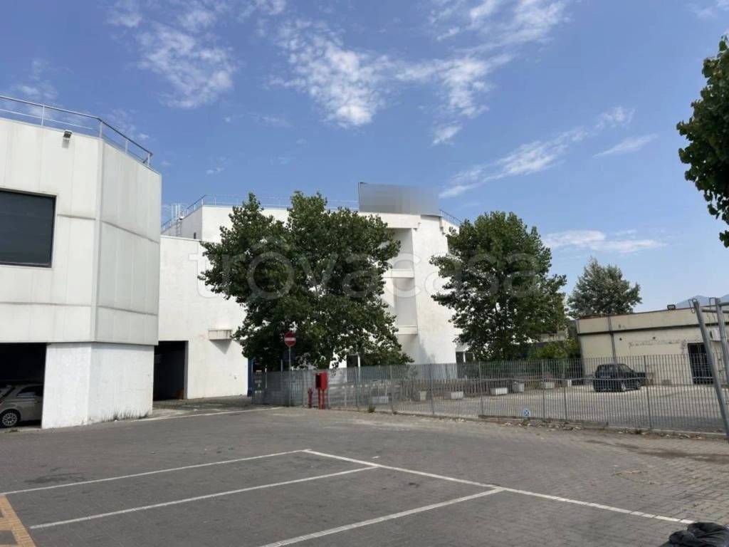 immagine annuncio 3 di 9