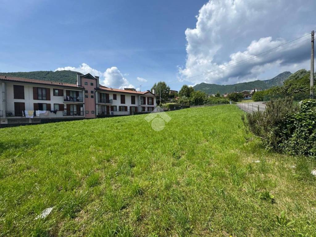 immagine annuncio 3 di 11
