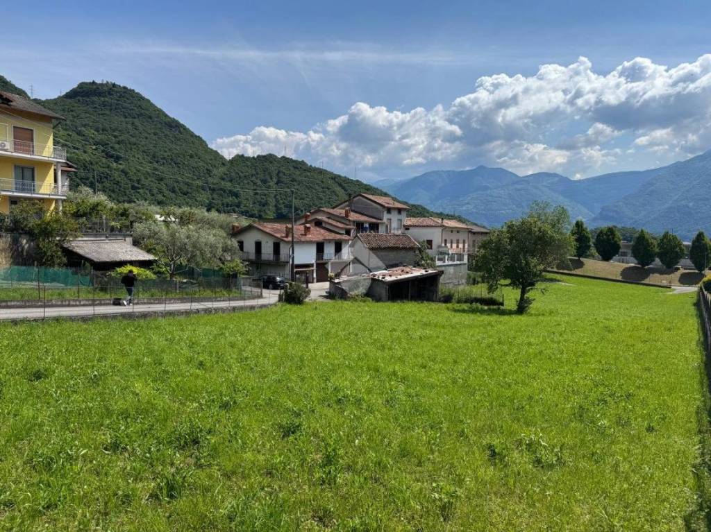 immagine annuncio 5 di 11